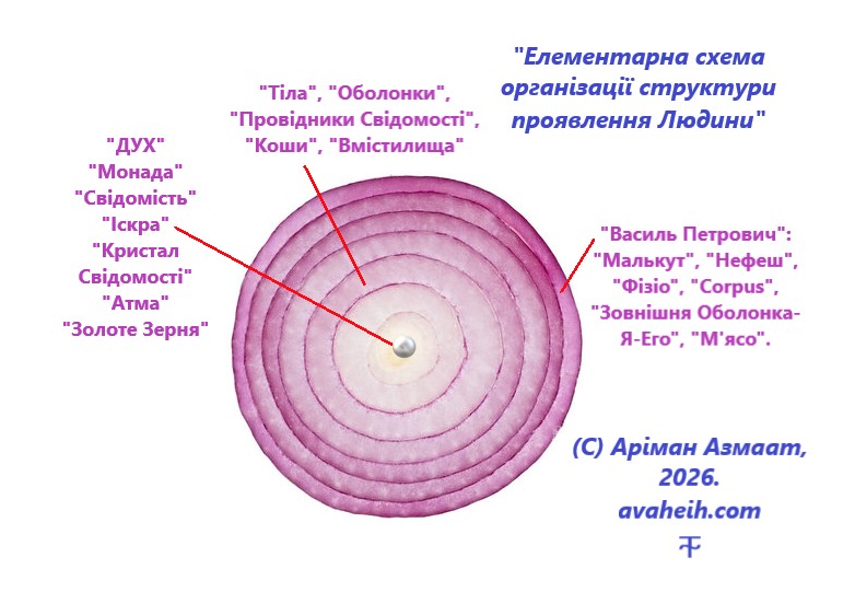 23-02-2026-елементарна-схема-структури-людини.jpg