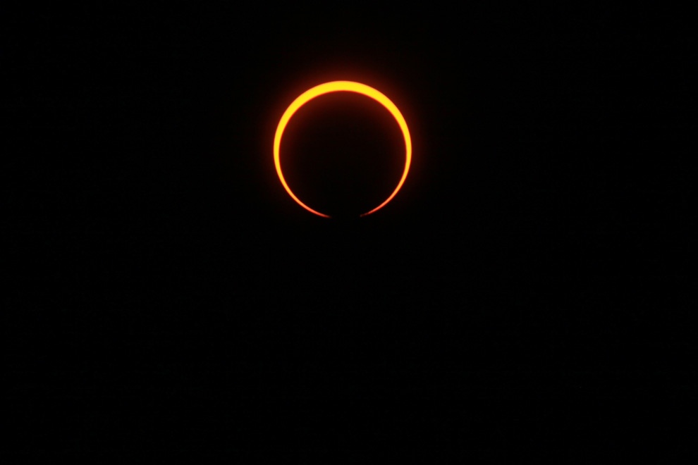 -91641039_457239753.jpg